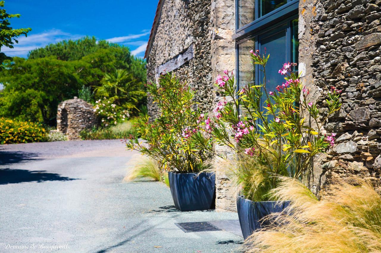 Chambres D'Hotes - Domaine De BacquevilleLʼAiguillon-sur-Vie エクステリア 写真